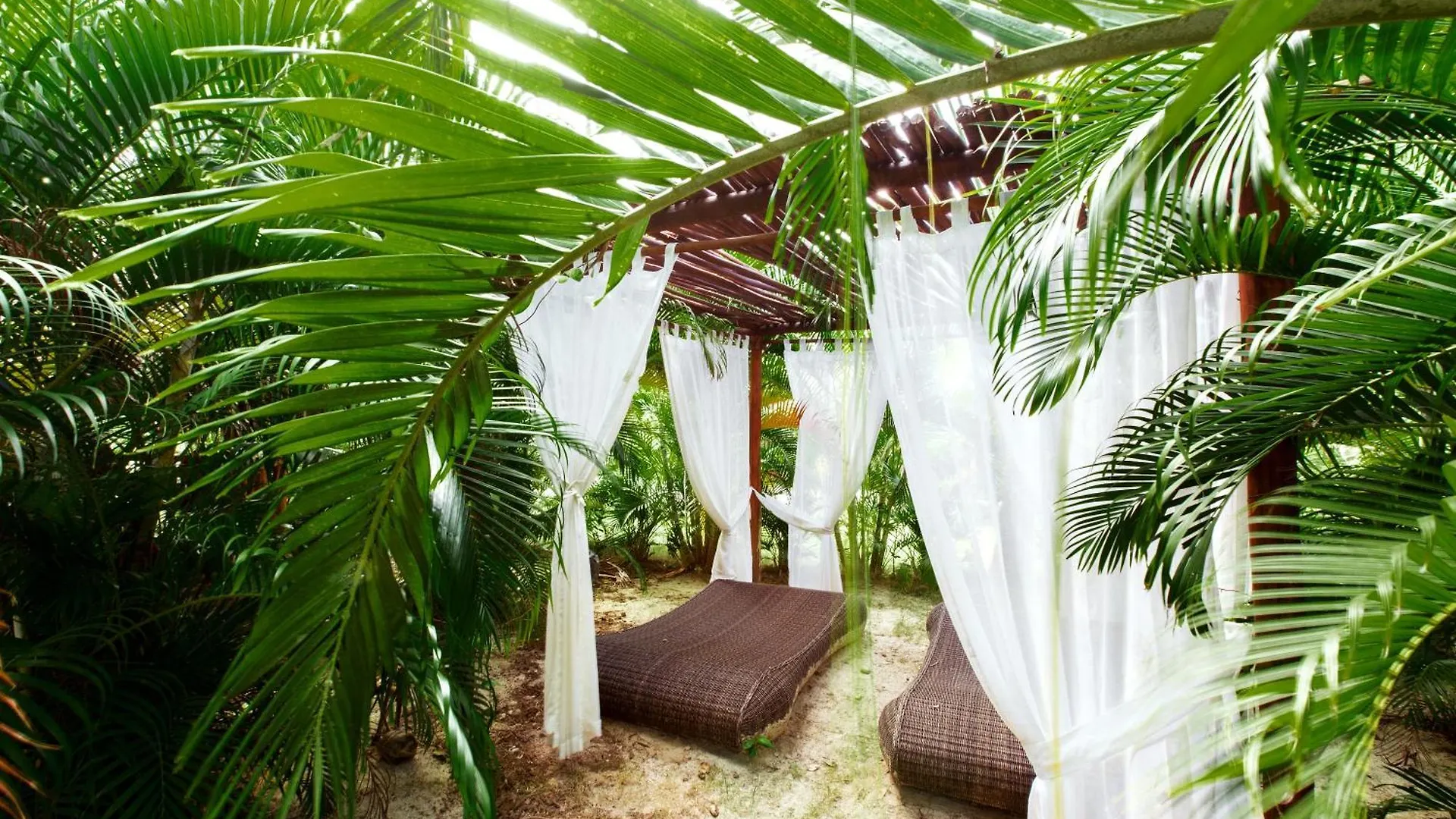 Aparthotel Ducassi Studios And Suites - Rooftop Pool, Beach Club, Breakfast And Wifi Punta Cana